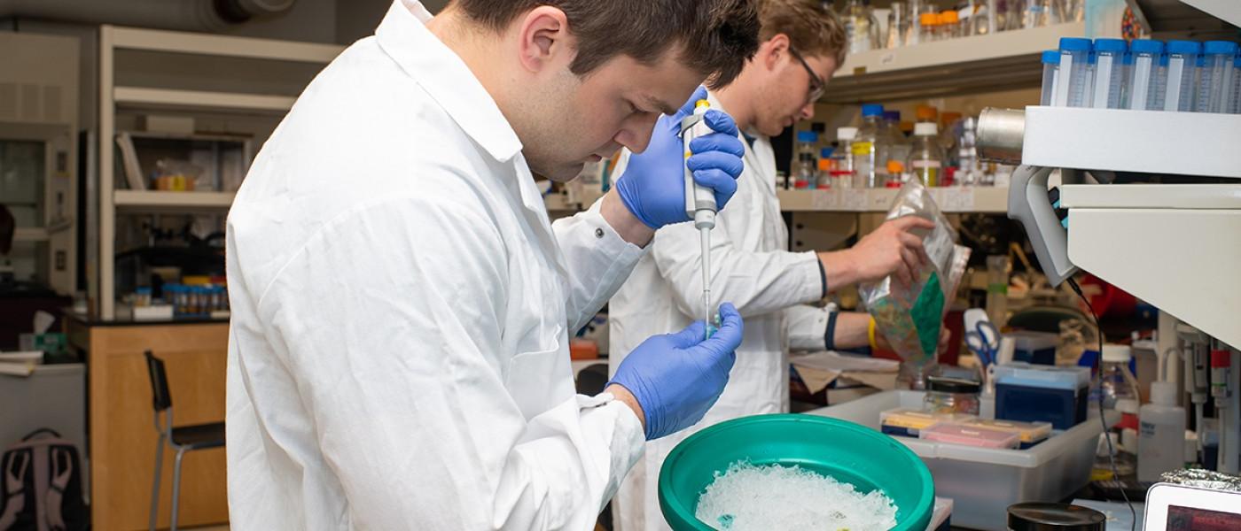 Two students working in a research lab