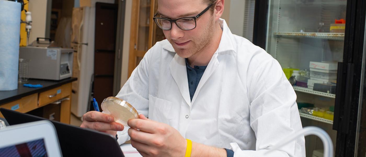 A student looks at a petri dish